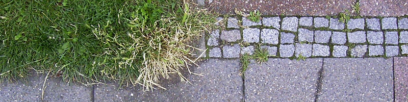 top_1.jpg