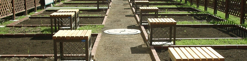 top_7.jpg