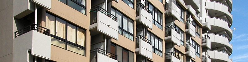 top_11.jpg