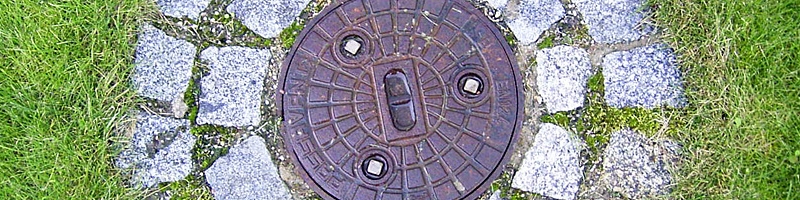 top_12.jpg