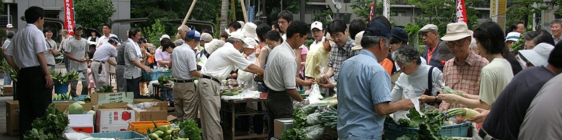top_17.jpg