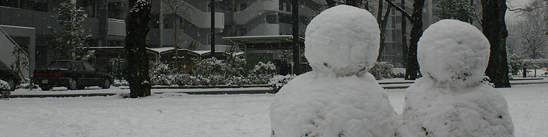 top_19.jpg