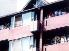 nisisiroi05.jpg