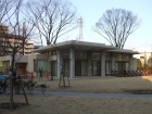 02tama-s-syu-s.jpg