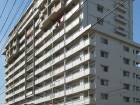 01itikawam-s.jpg