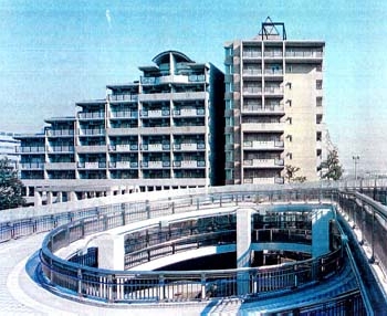 kiba02.jpg
