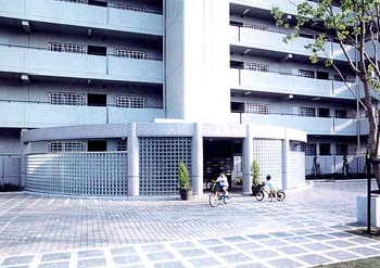 harayama03.jpg