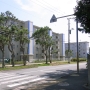 RIMG0082.JPG