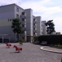 RIMG0101.JPG