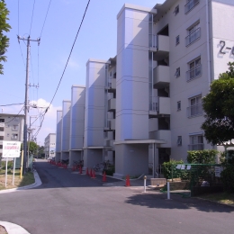 RIMG0088.JPG