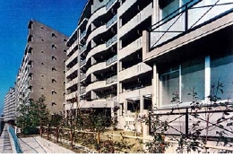 kiba05.jpg