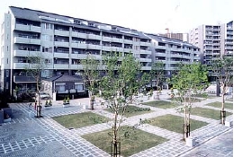 harayama02.jpg