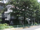 DSCF9283.JPG