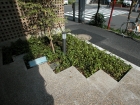 03DSCN0075.JPG