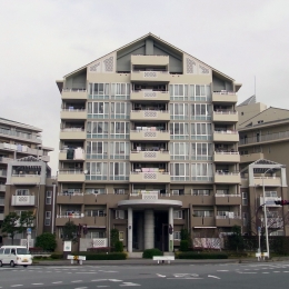 RIMG0165.jpg