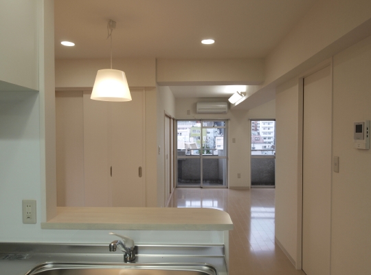 kitchen_to_living.JPG