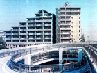 kiba02.jpg