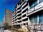 kiba05.jpg