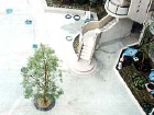 kiba07.jpg